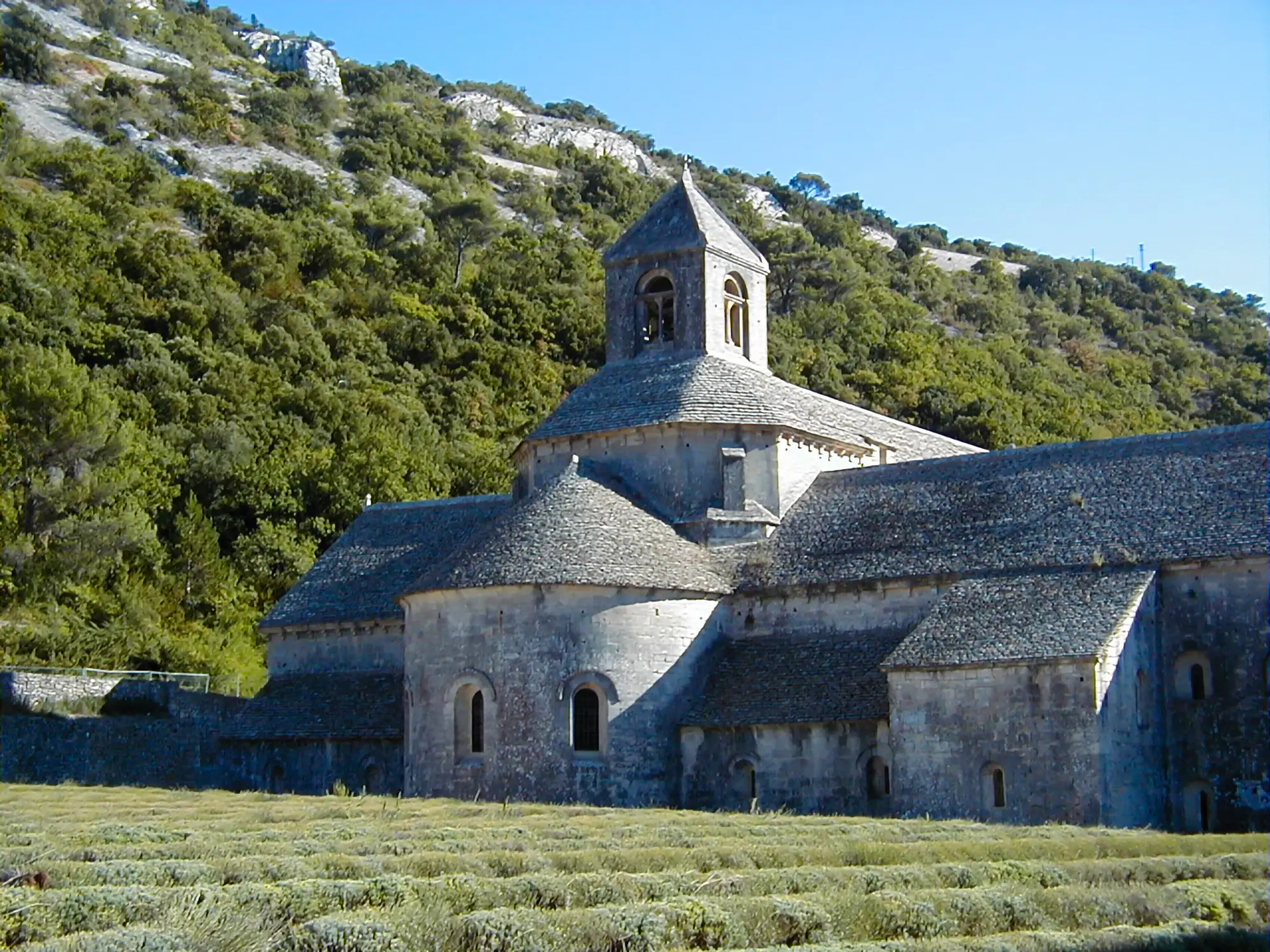 Viaggi di Cultura