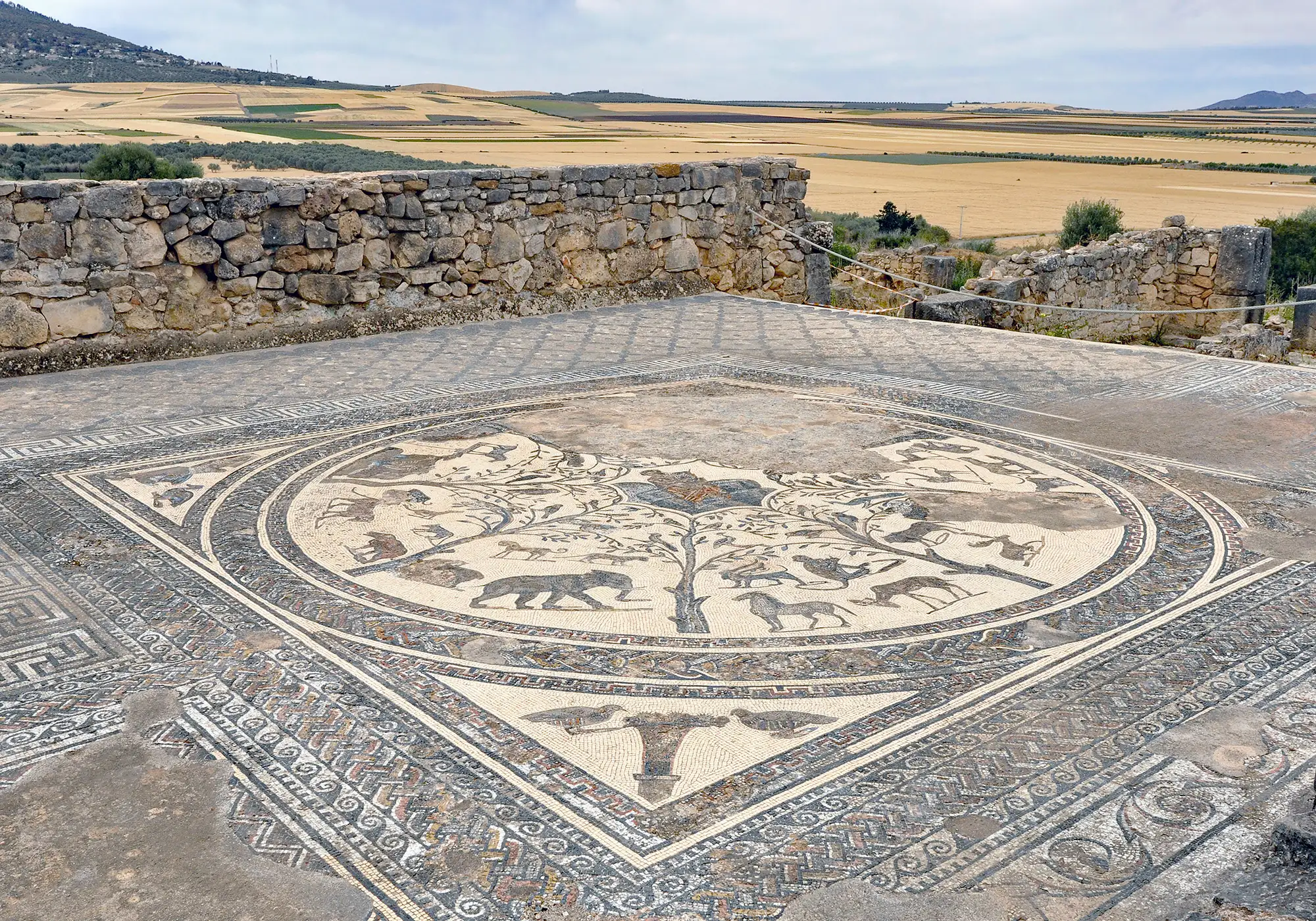 Viaggi di Cultura