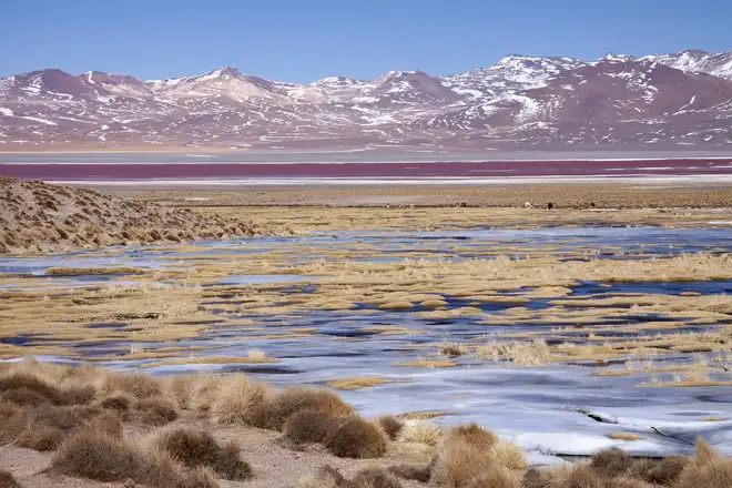 Salta, Uyuni e Atacama